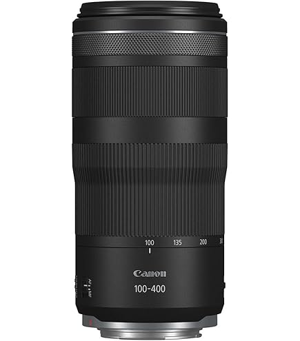 Amazon.com : Canon EOS R10 Mirrorless Camera RF-S18-45mm F4.5-6.3 