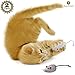 2 Mice toys for cats --- Rattling sound thrills, promotes agility, coordination - Boosts natural hunting, pouncing instinct - Interactive, Durable, Safe to Chew - Fun for Hours