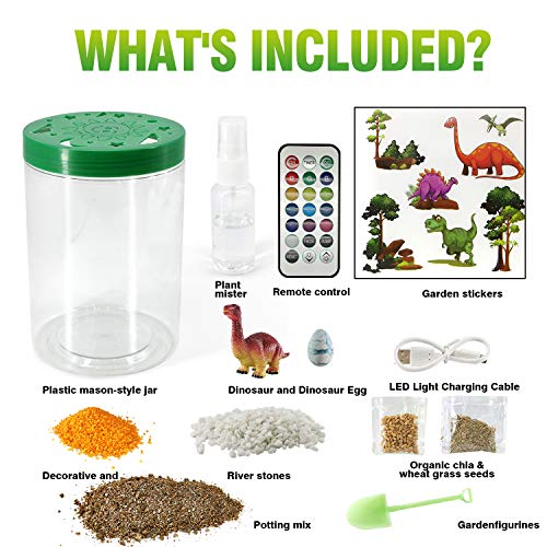 LightUp Terrarium Kit for Kids STEM Activities Science Craft Kits