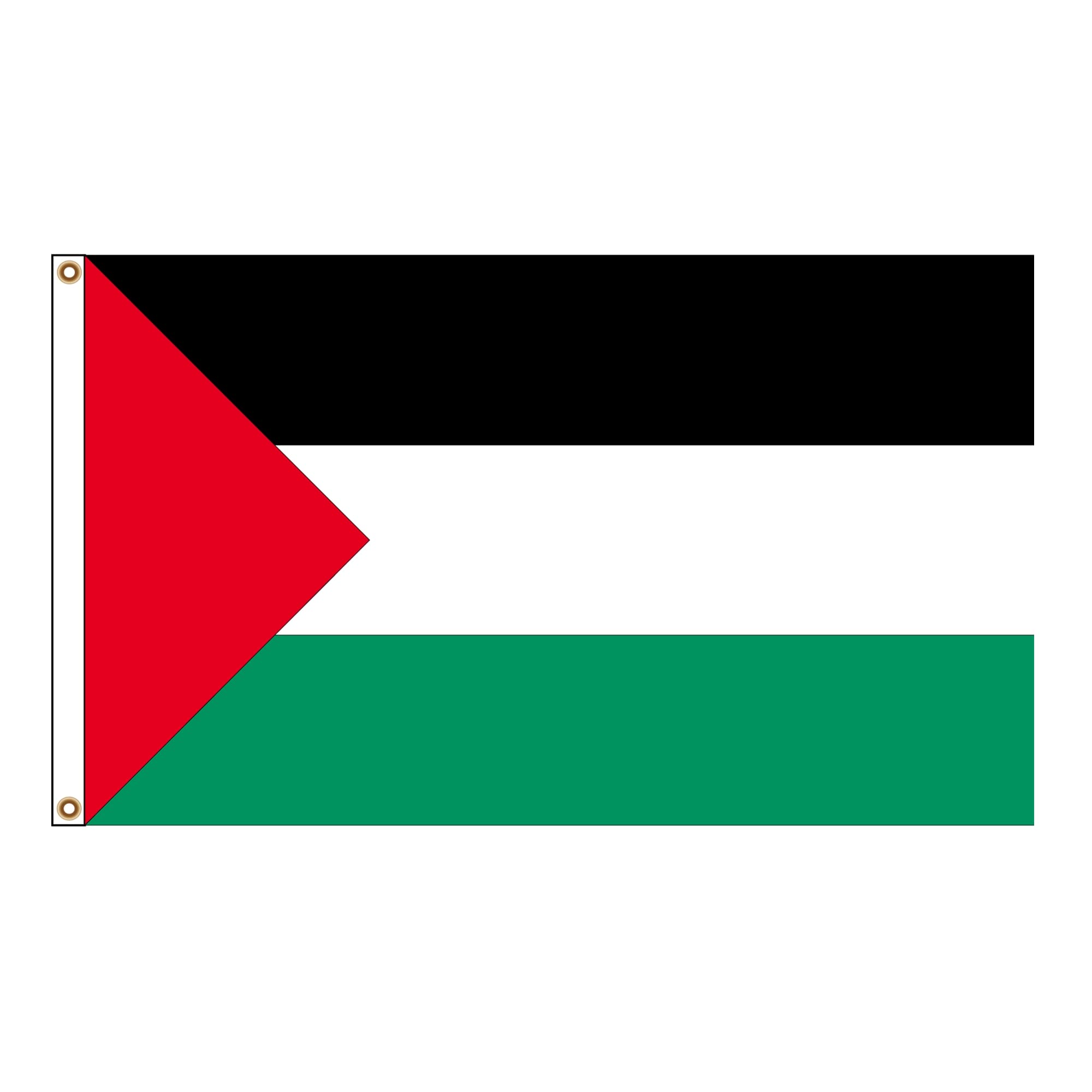 PinkDisplay Aisa flag (Palestine)3x5ft(90x150cm) eyelets and double stitches