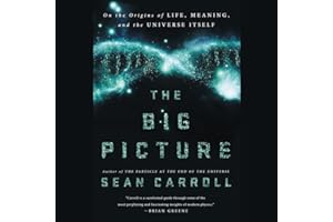 The Big Picture: On the Origins of Life, Meaning, and the Universe Itself