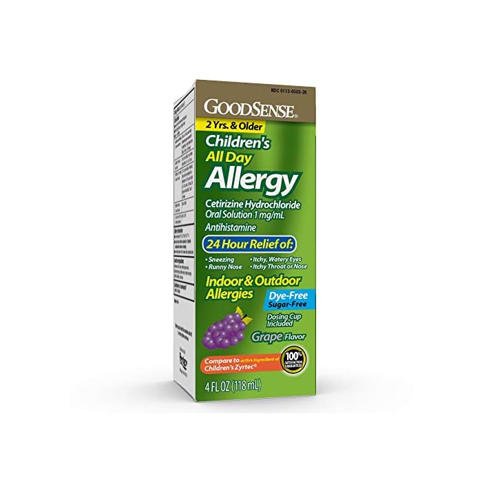 GoodSense Children's All-Day Allergy Cetirizine Hydrochloride Oral Solution