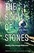 The Solace of Stones: Finding a Way through Wilderness (American Lives) by Julie Riddle