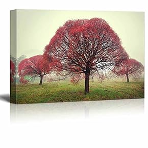 Canvas Prints Wall Art - Beautiful View/Scenery of Three Trees with Red Leaves Standing in The Fog in an Autumn Morning | Modern Wall Decor/Home Art - 12" x 18"