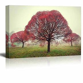 Beautiful View Scenery of Three Trees with Red...