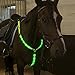 Upgraded LED Horse Breastplate Collar, USB Rechargeable Equestrian Riding Horse Bridle Halter Safety Light Horses Neck Belt Equipment Horsing Accessory - Green