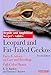 Leopard and Fat-Tailed Geckos (Reptile and Amphibian Keeper's Guides) by R.D. Bartlett, Patricia Bartlett
