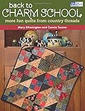 Back to Charm School: More Fun Quilts from Country Threads by Mary Etherington, Connie Tesene