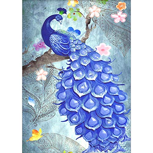 WISREMT DIY Diamond Painting Kit Full Drill Embroidery Cross Stitch Arts Craft Canvas Wall Home Decor Craft for Adults or Kids 30x40CM (Blue Peacock, 11.8\