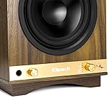 Klipsch The Sixes
