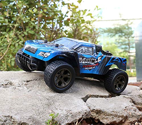 FitMaker RC Car, All Terrain Remote Control High-Speed Telecar, Offroad 2.4Ghz 2WD Remote Control Monster Truck Kids Adults (Normal Type)