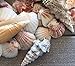 Beach Sea Shells in Mixed Colors, Approx. 50pcs Sizes 1