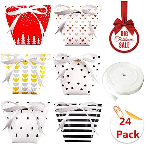 Party Favor Bags - 24 Pack Small Gift Bags Candy Goodie Bags for Christmas, Birthday Parties, Weddings, Halloween