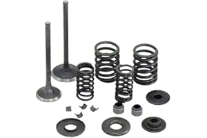 Inlet/Exhaust Valve Sets YP250-5027 for Linhai 250 260 30 Ymh Keeway Jinlang Feishen Scooter ATV 22714