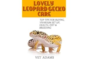 Lovely Leopard Gecko Care