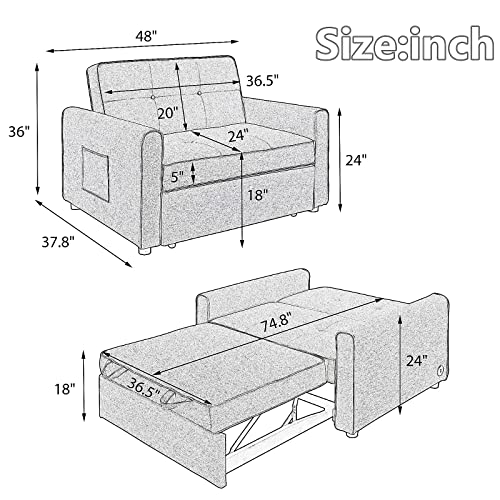Gynsseh Pull Out Sofa Sleeper, Convertible Sleeper Sofa Bed with Dual