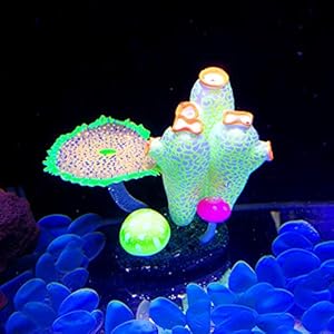 POPETPOP Acquario Decorazioni di Corallo Incandescente Artificiale Pianta di Corallo Ornamenti di Barriera Corallina per…