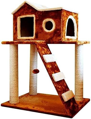 cat tree indoor