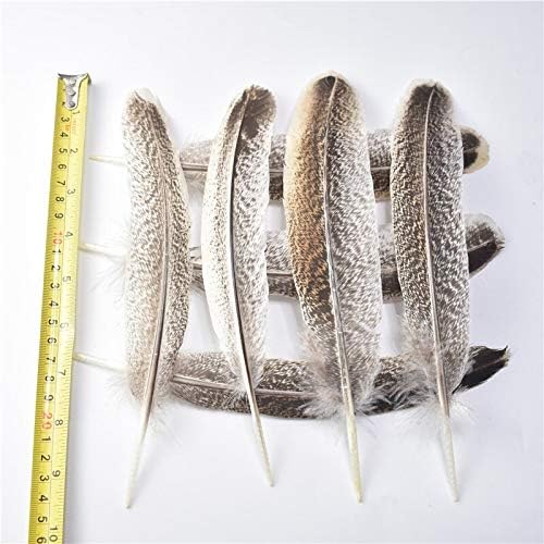 Real Various Natural Eagle Feathers 10pcs/lot 1540CM