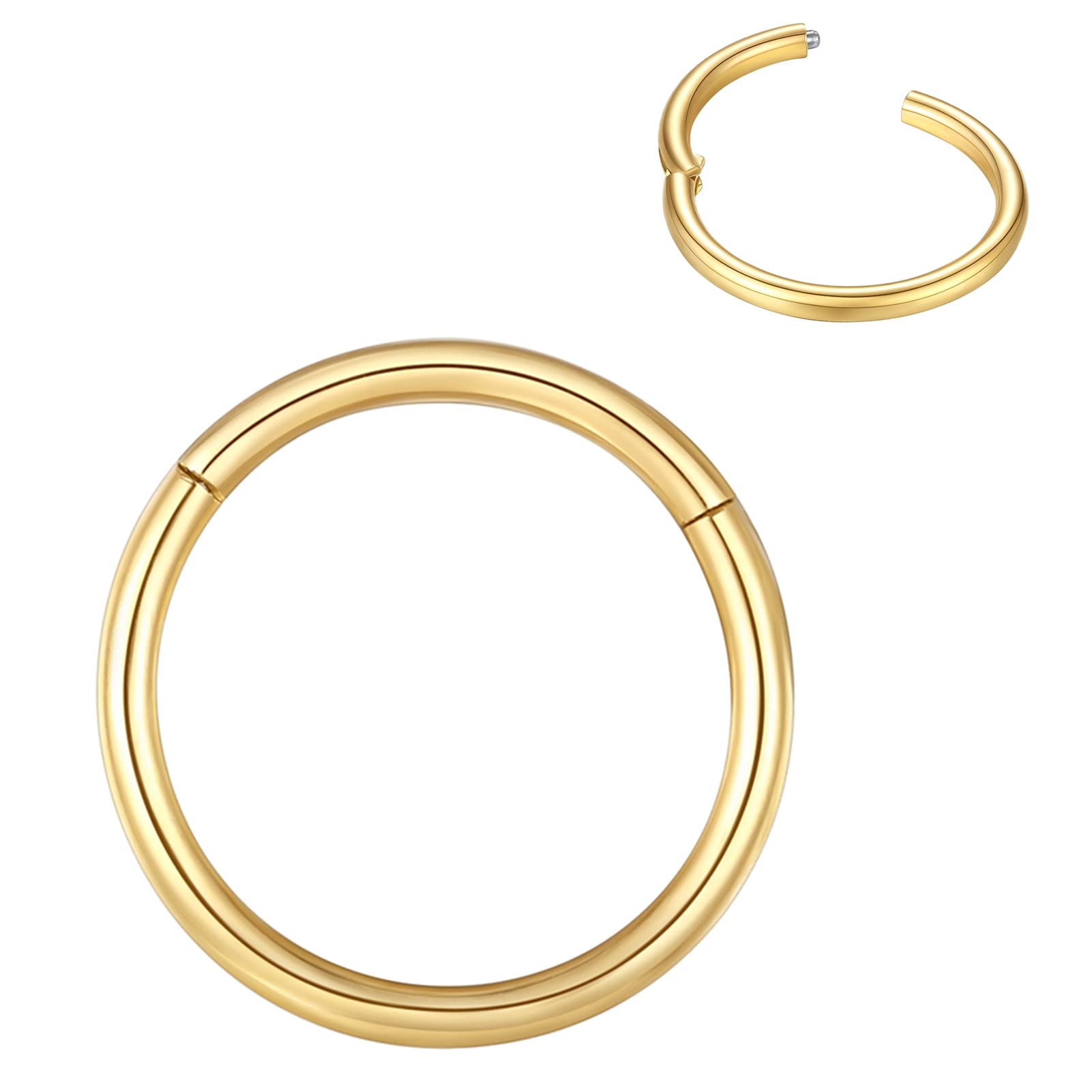 BLESSMYLOVE Nose Rings Hoop Gold 20G 10mm 316L Surgical Steel Cartilage Earrings Conch Daith Helix Rook Tragus Lobe Snug Body Piercing Jewelry 20 gauge Stainless Steel Hinged Segment Rings Lip Rings