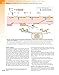Rang & Dale's Pharmacology