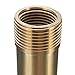 Kisstaker 1 Inch Brass Fountain Mushroom Spray Head Garden Landscape Fountain Nozzle