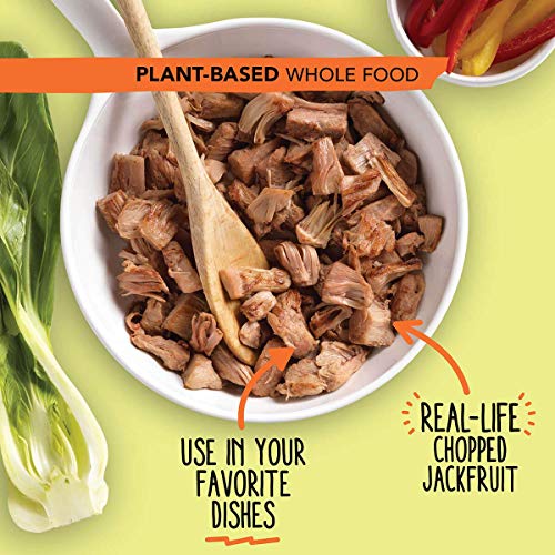 2 Jackfruit+Company+Lightly+Seasoned+Replacement