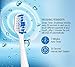Pursonic S430 High Power Rechargeable Electric Sonic Toothbrush with 12 Brush Heads & Storage Charger, Blue