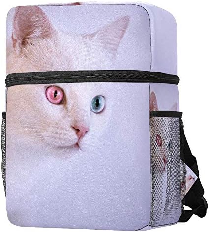 pain meds to give dogs