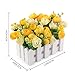 Louis Garden Artificial Flowers Fake Rose in Picket Fence Pot Pack - Mini Potted Plant (Yellow)