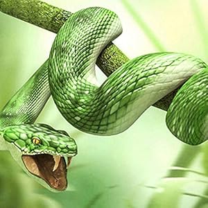 51pClhBBd%2BL. SS300 Diamante pintura 5D -DIY cuadrado completo diamante-animal serpiente verde 25x25cm, cristal rhinestone bordado punto de… 51pClhBBd%2BL. SS300