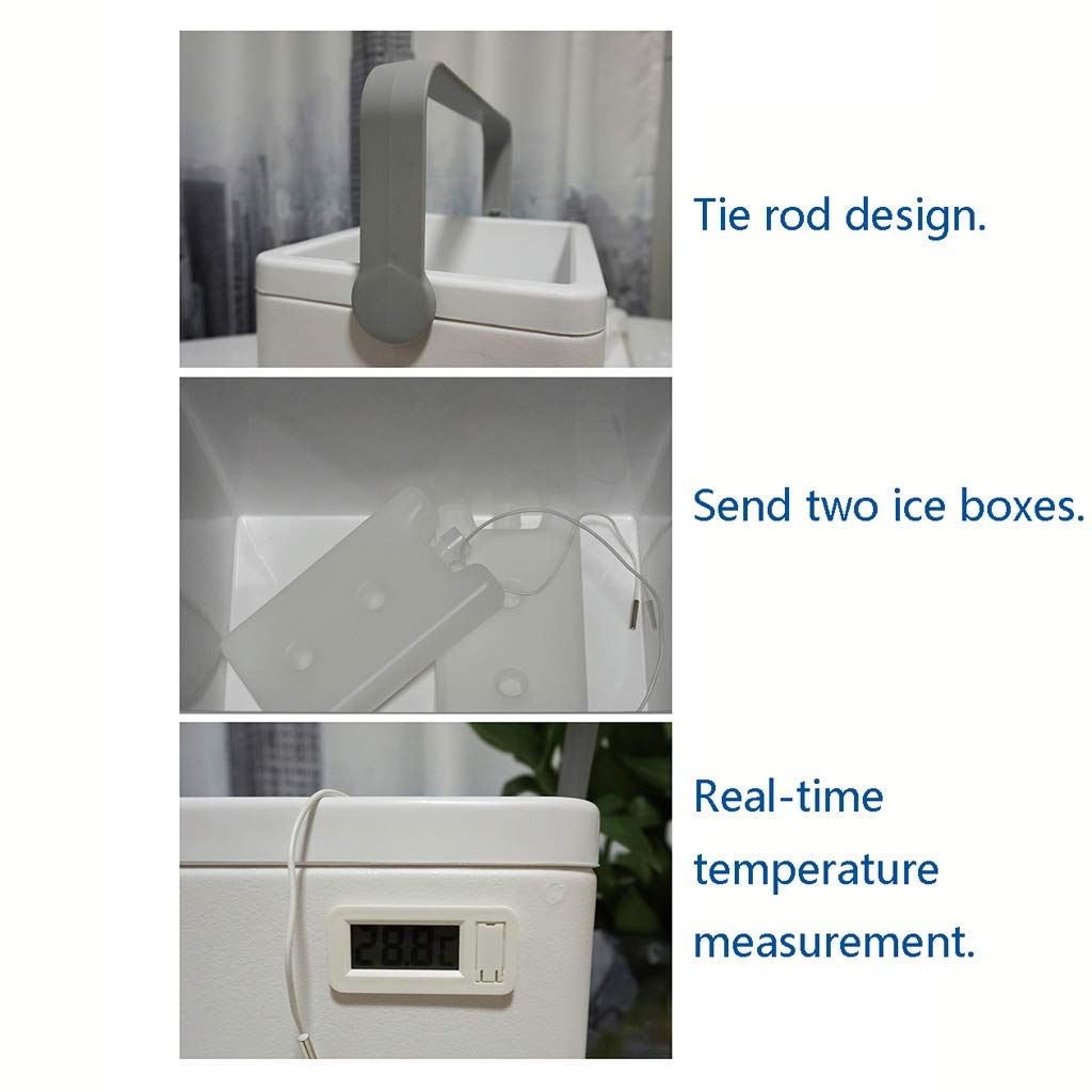 WLNKJ Refrigerador Portátil para Acampar, Caja De Mantenimiento ...