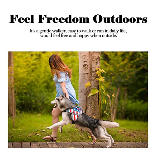 QQPETS Dog Harness American Flag Theme No Pull Adjustable Breathable Massage Reflective Pet Vest, Easy Control for Large Breed Dogs Outdoor Walking (Large, America) - Thumbnail 5