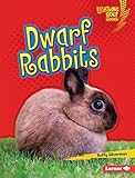 Dwarf Rabbits (Lightning Bolt Books ® - Little Pets) by Buffy Silverman