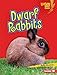 Dwarf Rabbits (Lightning Bolt Books ® - Little Pets) by Buffy Silverman