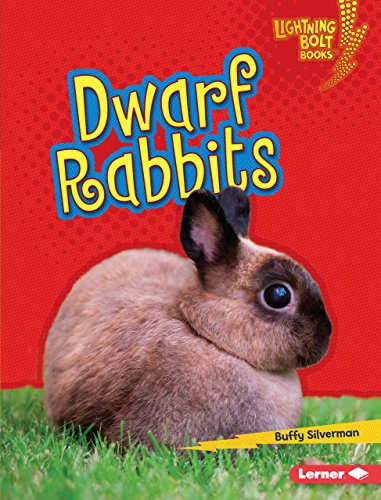 Dwarf Rabbits (Lightning Bolt Books ® - Little Pets) by Buffy Silverman