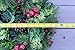 The Wreath Depot Aurora Winter Wreath, 24 Inches, Designer Full Artificial Winter Wreath Enhances Front Door Decor, White Gift Box Included