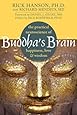 Buddha's Brain: The Practical Neuroscience of Happiness, Love, and Wisdom