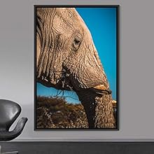 signwin Framed Canvas Wall Art Elephants Animals Dramatic Elephants Farmhouse/Country Living Room Multicolor Photography - 24x36 inches