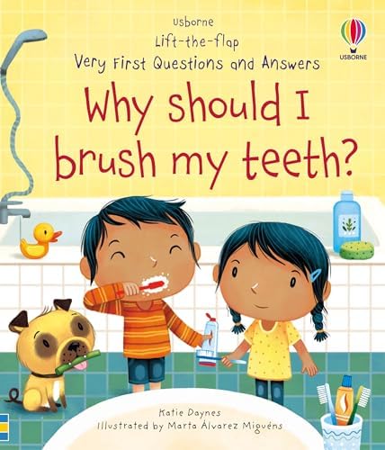 Usborne Publishing Ltd Usborne Very First Questions and Answers