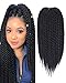 Havana Twist Crochet Hair Mambo Twist Senegalese Crochet Braids Braiding Hair 100gram 12 roots/Pack (22inch, 1B)
