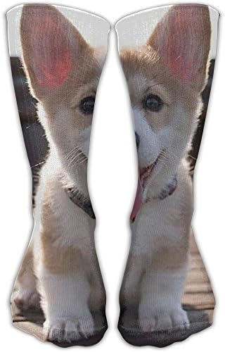 HUE Cute Corgi (2) Men Women Novelty Crew Socks Cotton Socks Multicolored Pattern Ankle Dress Socks