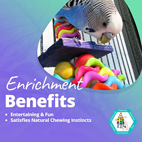 3 Super+Bird+Creations+Wiggles+Wafers