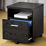 Coaster Home Furnishings Contemporary File Cabinet, Black
