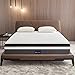 S SECRETLAND Queen Mattress, 14 inch Individually Wrapped Coils Innerspring Mattress, Pocket Spring Hybrid Mattresses with CertiPUR-US Certified Foam, Plush Yet Supportive