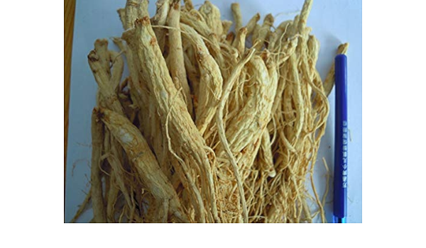 Amazon Com Northeast Specialty Ginseng White Ginseng Whisker Raw Sun Dried Ginseng Whisker High Cost Performance Affordable Promotion东北特产人参白参须生晒参须人参须子性价比高超实惠促销 Health Personal Care