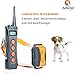 Aetertek Remote Dog Shock Collar 1 Year Warranty 1000M Range 5 Modes (Shock, Light, Vibration, Beep & Auto Anti bark) Safe Dogs Rechargeable & Waterproof Trainer (for 1 Dog)