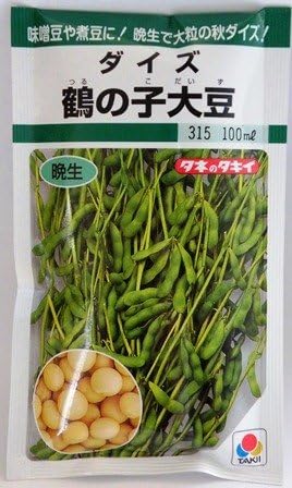 タキイ種苗 ダイズ鶴の子大豆 野菜種春まき 100ml 返品送料無料 約135粒