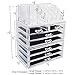 Ikee Design Cosmetics Makeup and Jewelry Storage Case Display for Lipstick, Nail Polish, Brushes, Jewelry and More, Clear