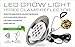 Indoor LED Grow Light Bulbs w/ Clamp Reflector (12W) Efficient Greenhouse Red & Blue Hydroponics Lighting | Produce Healthier Plants, Herbs, Flowers